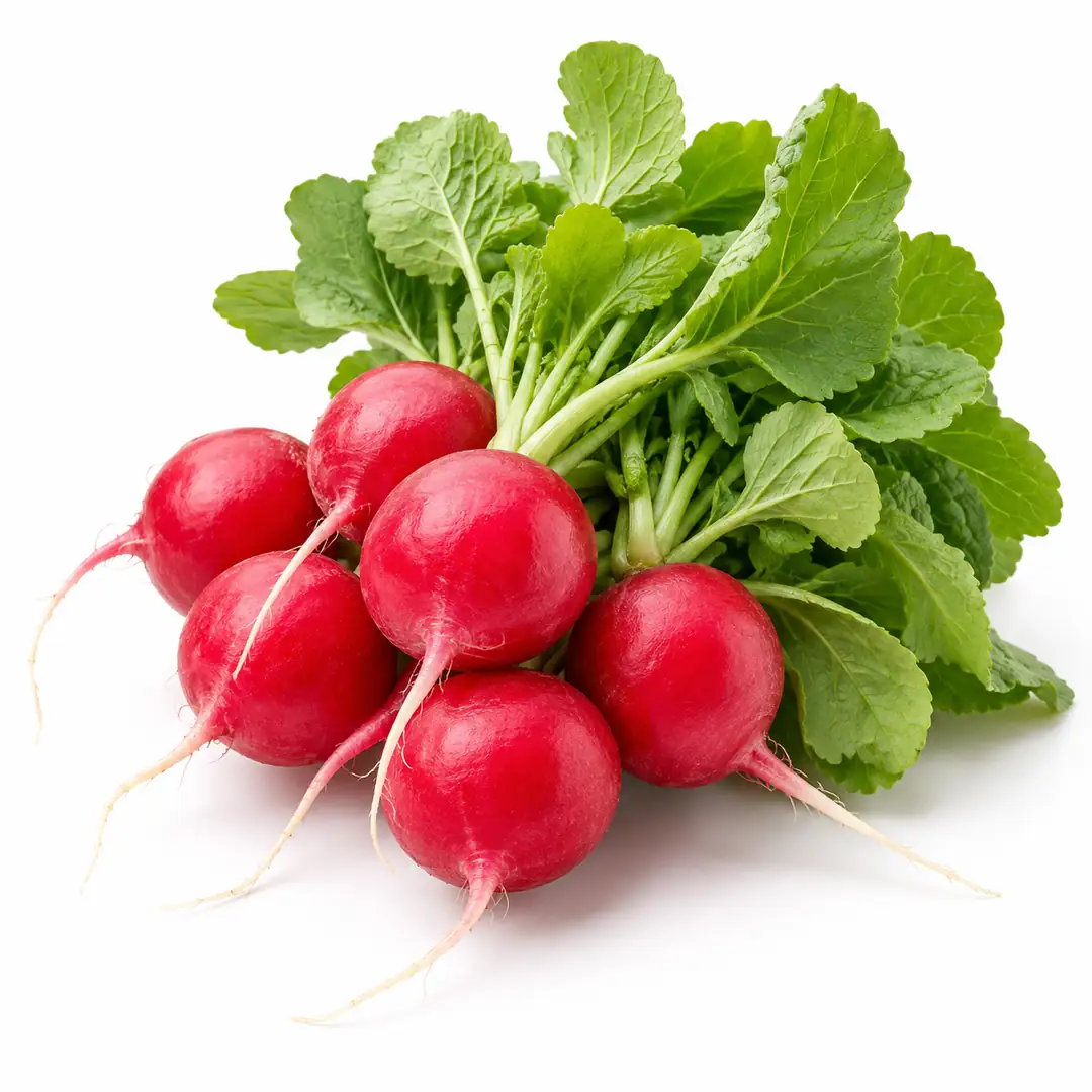 Ürün görseli: Turp (Kırmızı)