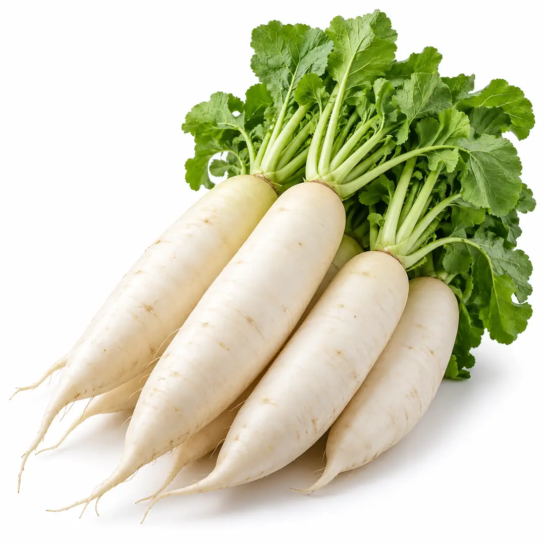 Ürün görseli: Turp (Beyaz)